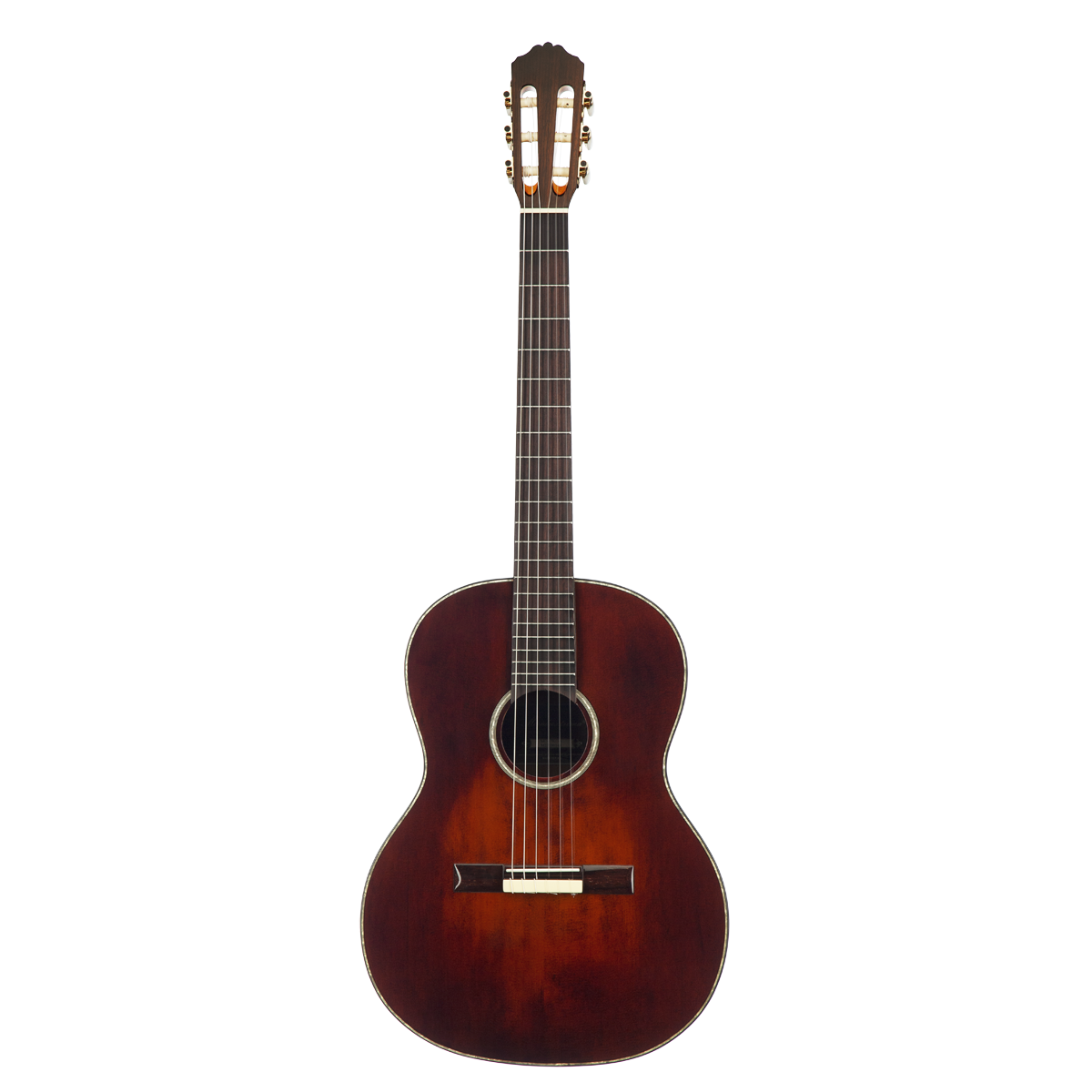Meridaextrema MC-17KOA