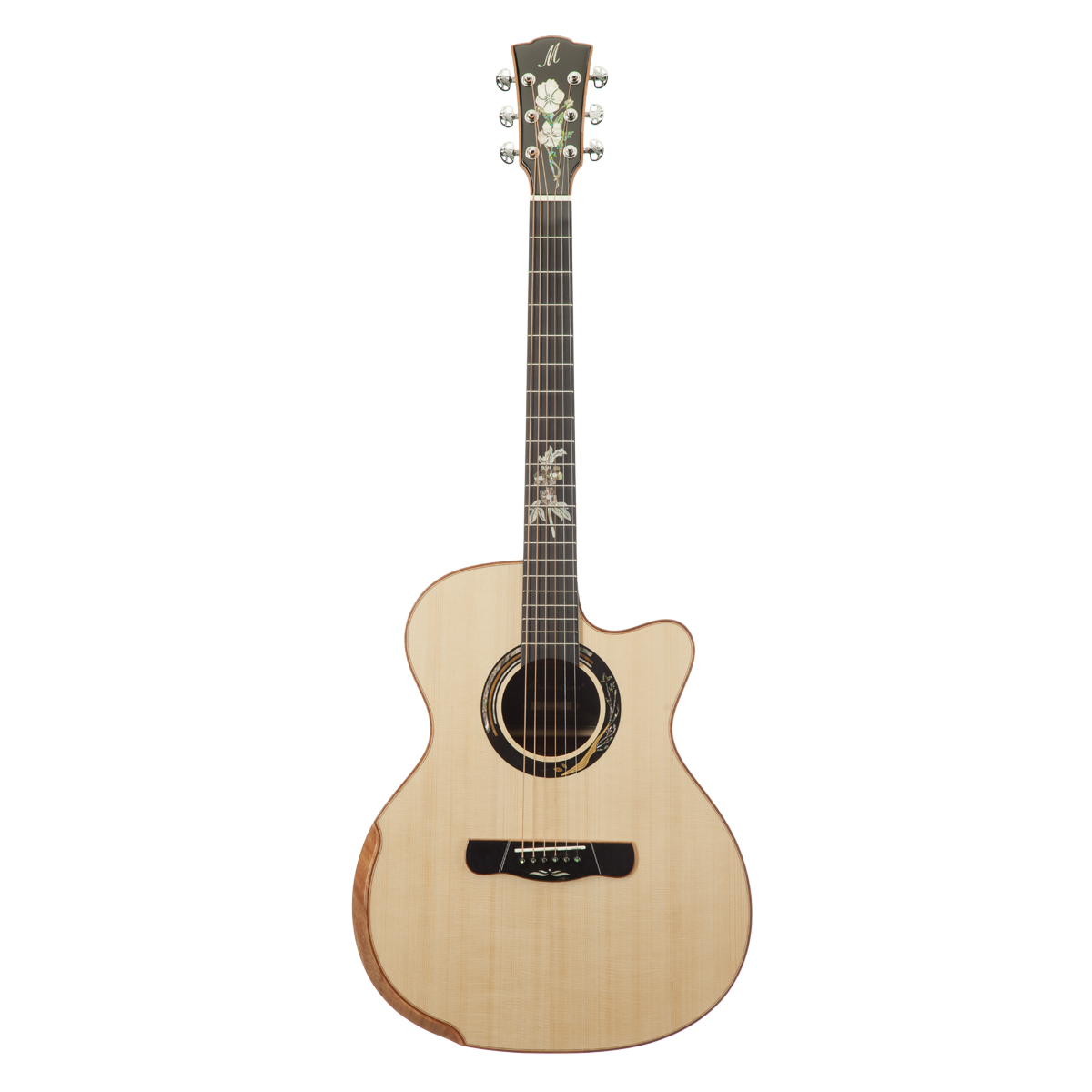 Meridaextrema A18GAC 1