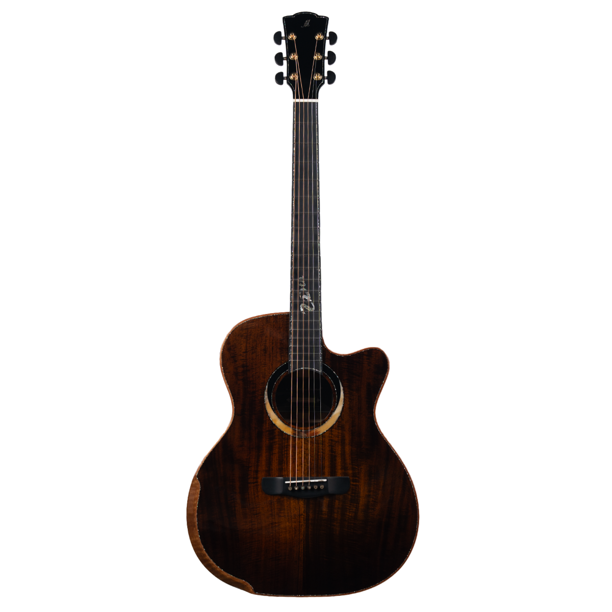 Meridaextrema Gloria V-GAC